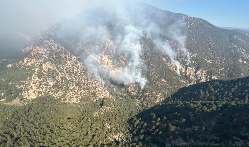 GÜNCELLEME – Bolu’da yıldırım düşmesi sonucu çıkan orman yangını kontrol altına alındı