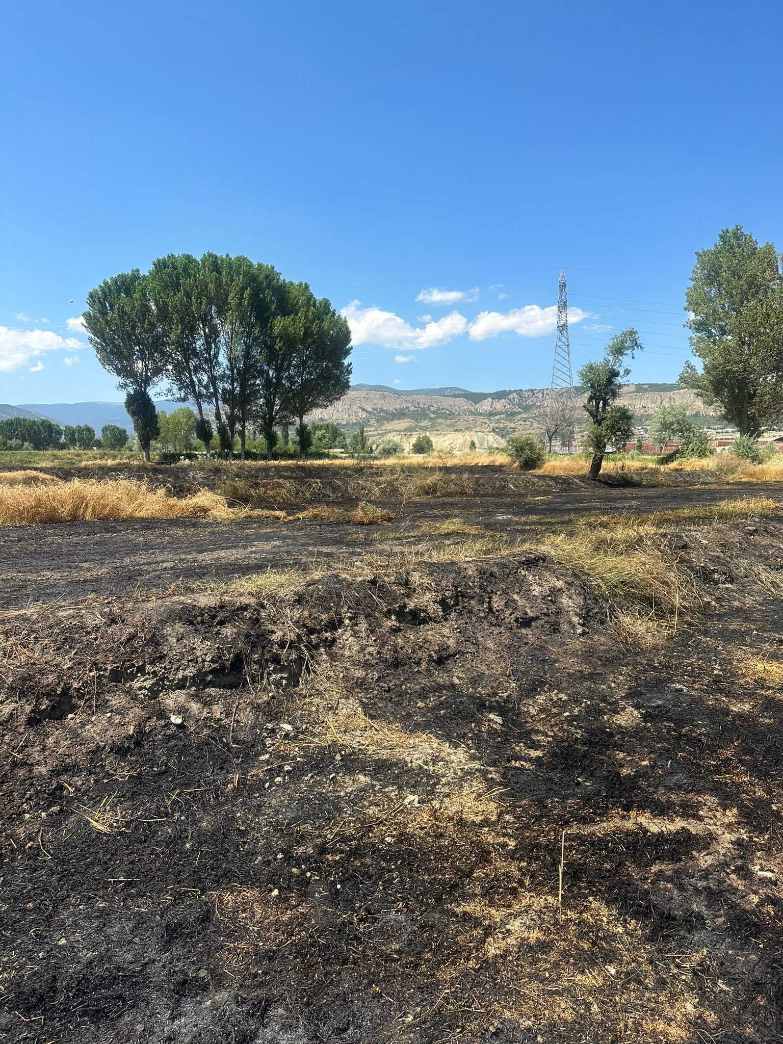 Kastamonu’da çıkan yangında 5 dekar ekili arazi ile biçerdöver zarar gördü