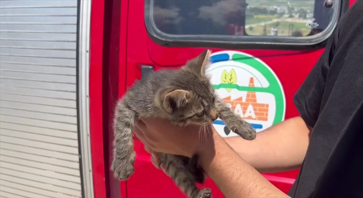 Tokat’ta otomobilin motor kısmına giren kedi yavrusunu itfaiye kurtardı