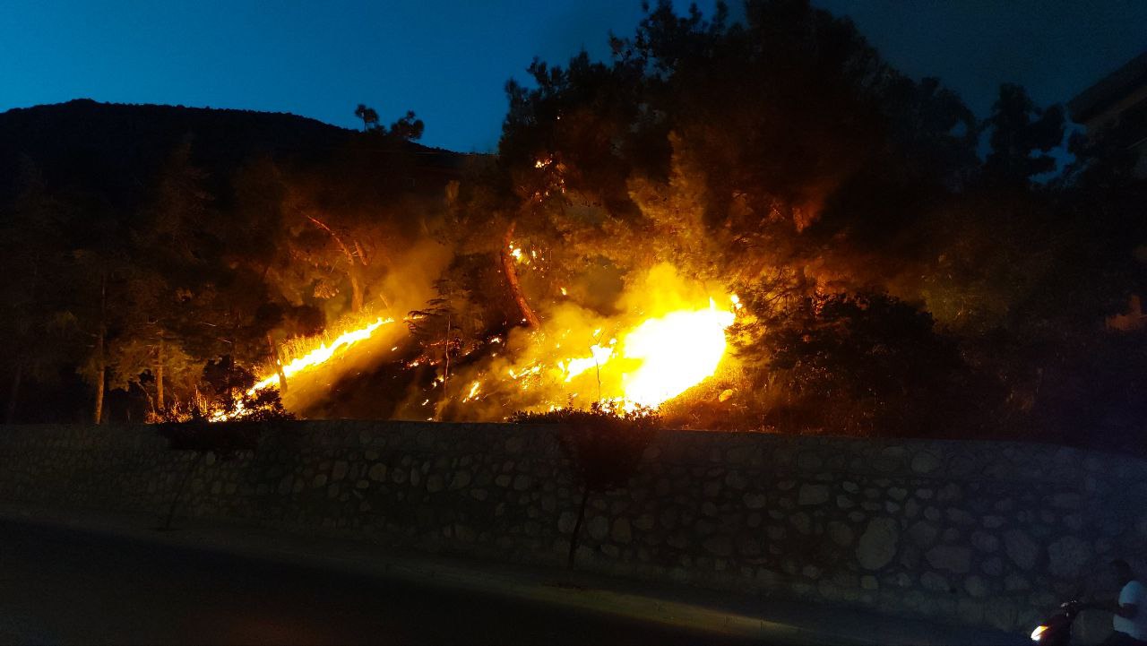 Amasya’da çıkan orman yangını söndürüldü