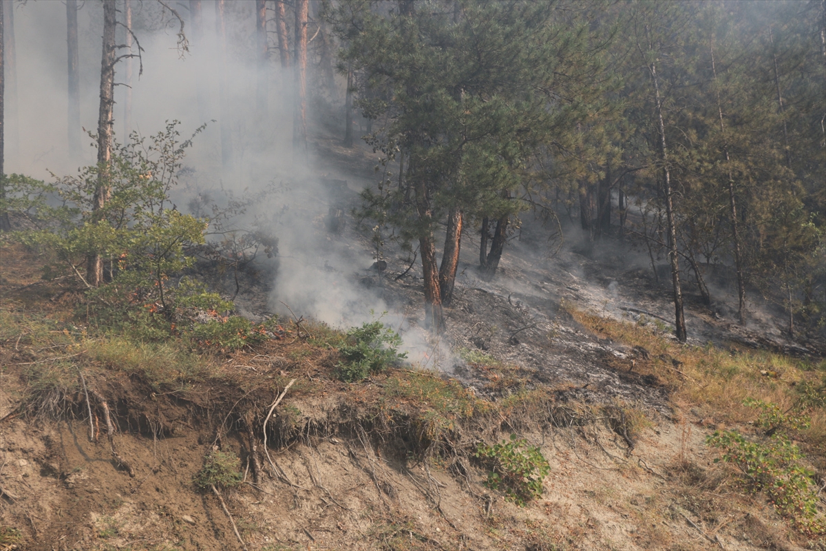 Bolu’da orman yangını alanlarındaki soğutma çalışması sürüyor