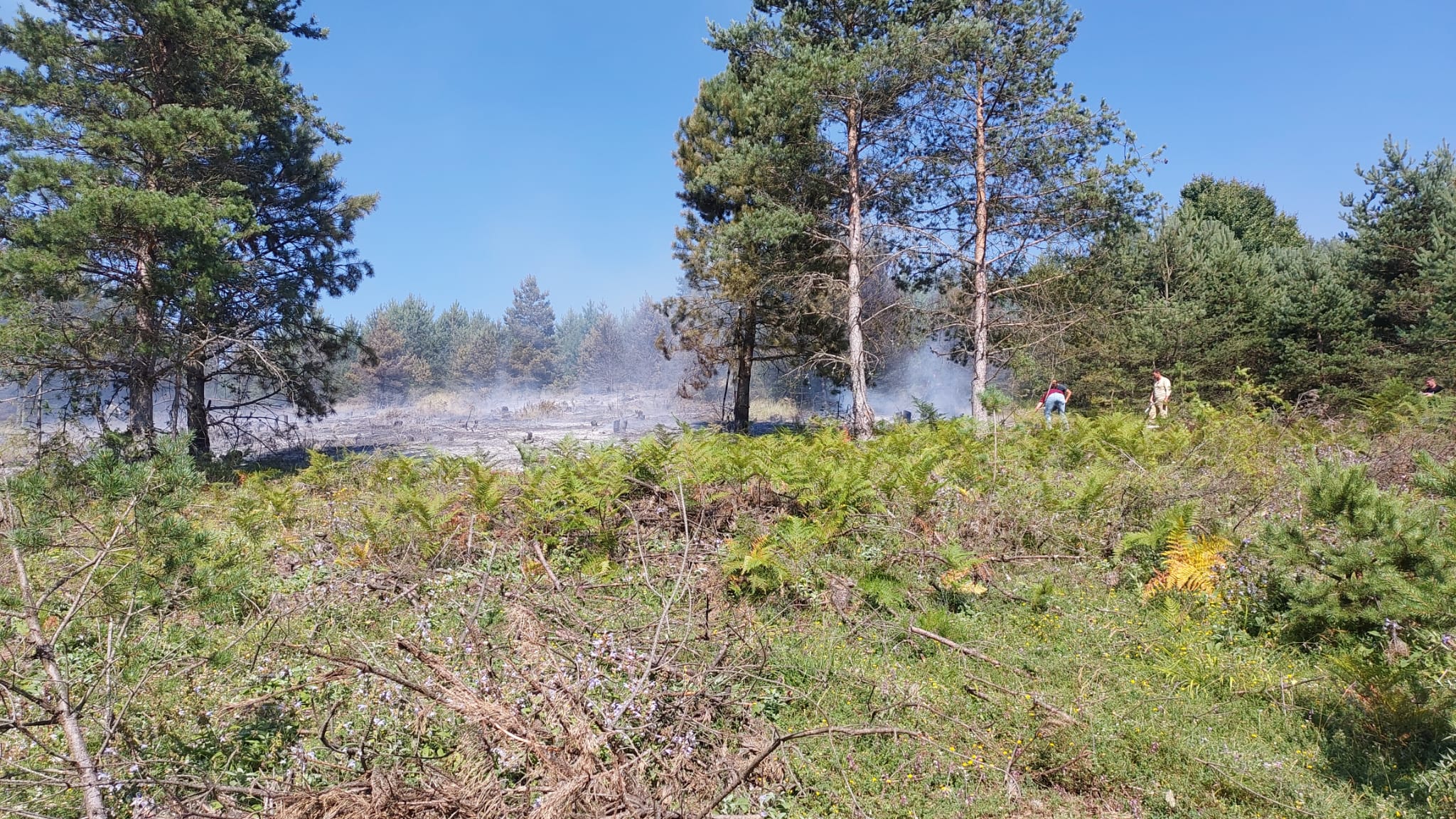 Bolu’da otluk alanda çıkan yangın ormana sıçramadan söndürüldü