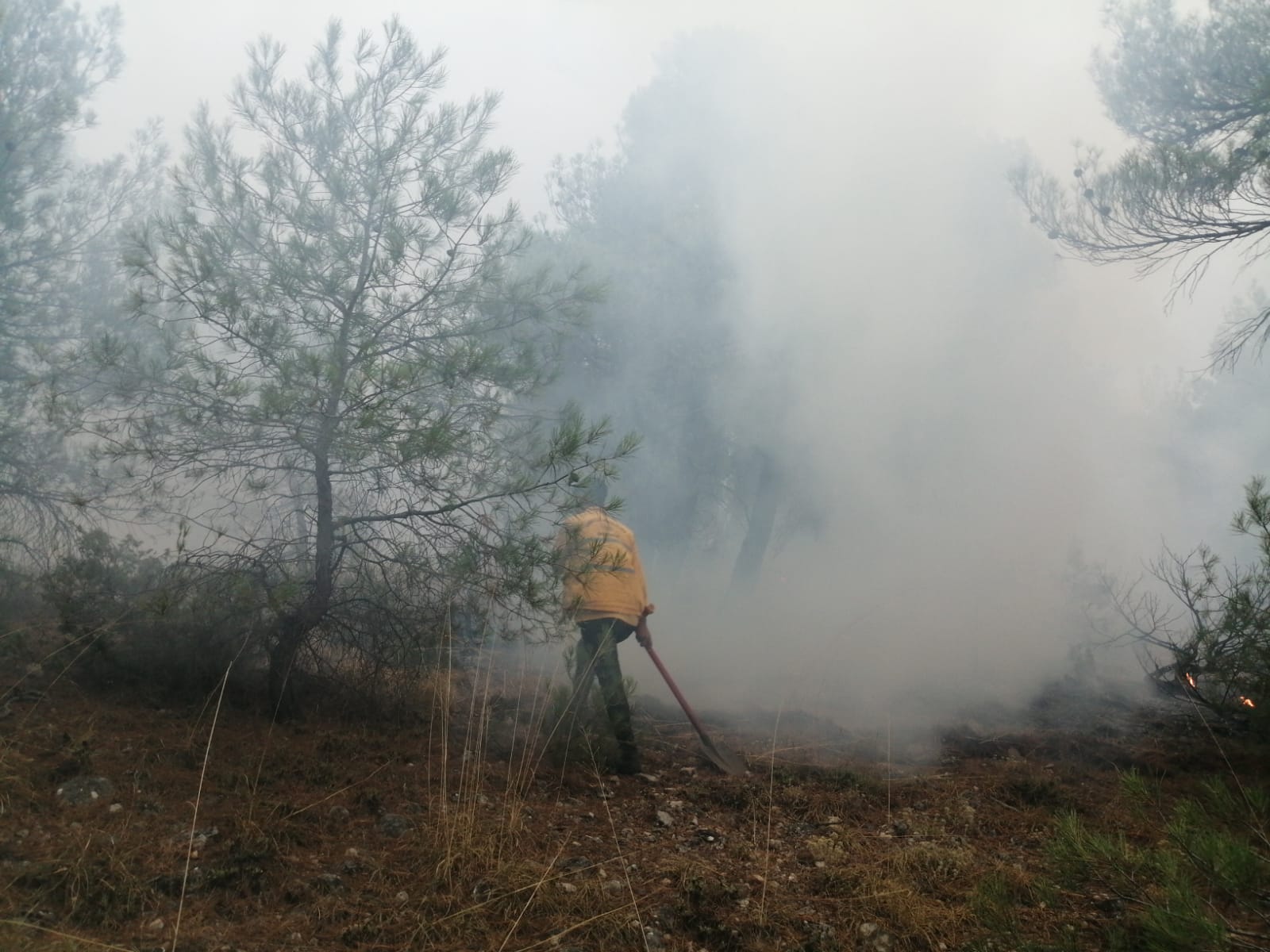 Bolu’da yıldırımın  isabet etmesi soncu orman yangını çıktı