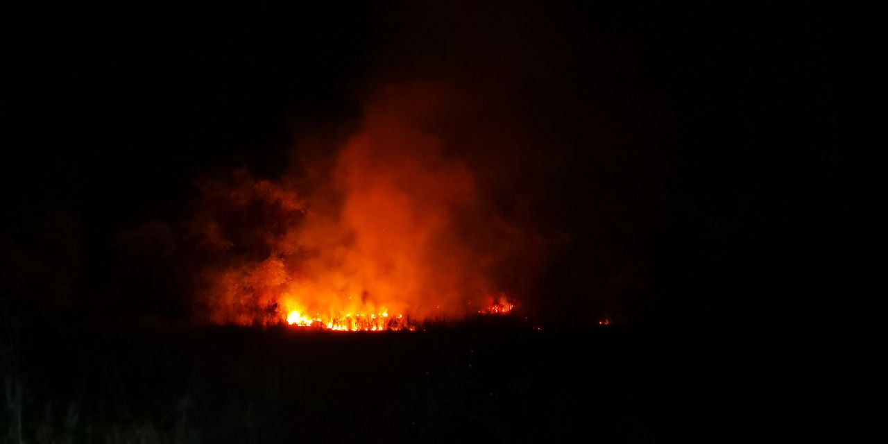 Çorum’da çıkan anız yangınında 2 bine yakın ağaç zarar gördü