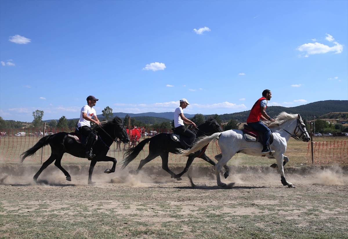 Kastamonu’da “30 Ağustos Zafer At Yarışları” düzenlendi