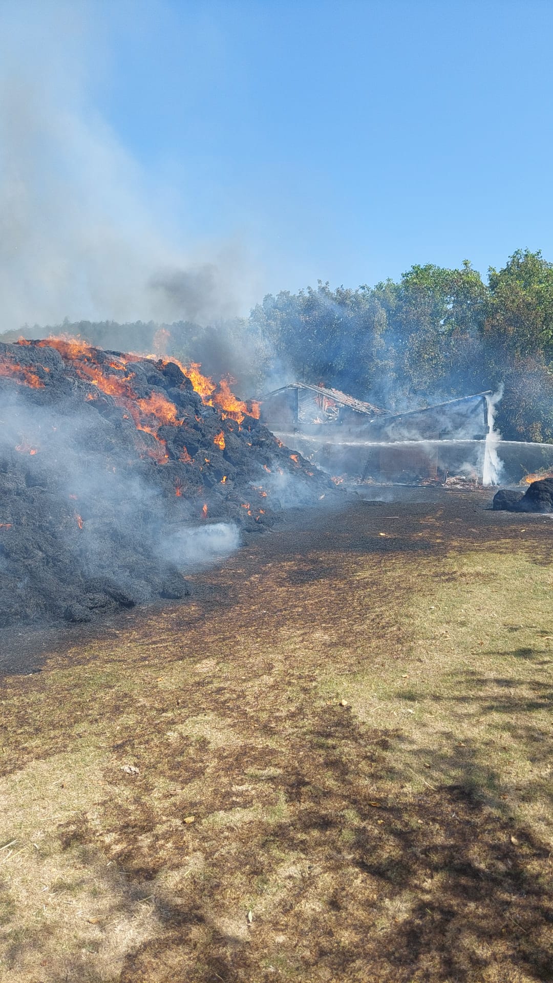 Kastamonu’da çıkan yangında 2 samanlık ile 6 bin balya saman zarar gördü