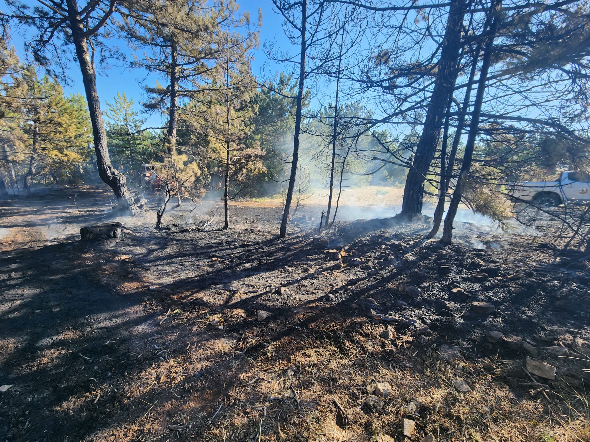 Mudurnu’da ormanlık alanda çıkan örtü yangını söndürüldü