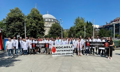 Sakarya, Zonguldak, Kocaeli ve Düzce’de veterinerler şiddet olaylarına tepki amacıyla iş bıraktı