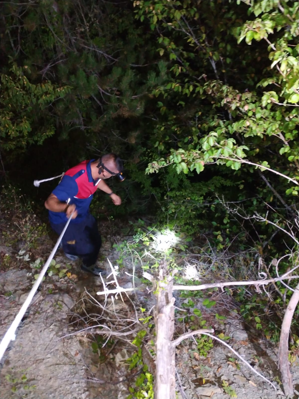 Sinop’ta ormanda mahsur kalan kişi itfaiye ekiplerince kurtarıldı