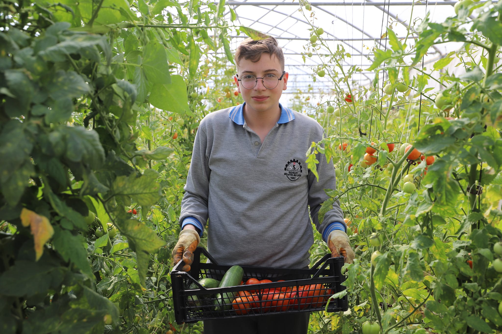 Bayburt’ta öğrenciler okul bahçesinde yetiştirdikleri sebzeleri hasat etti