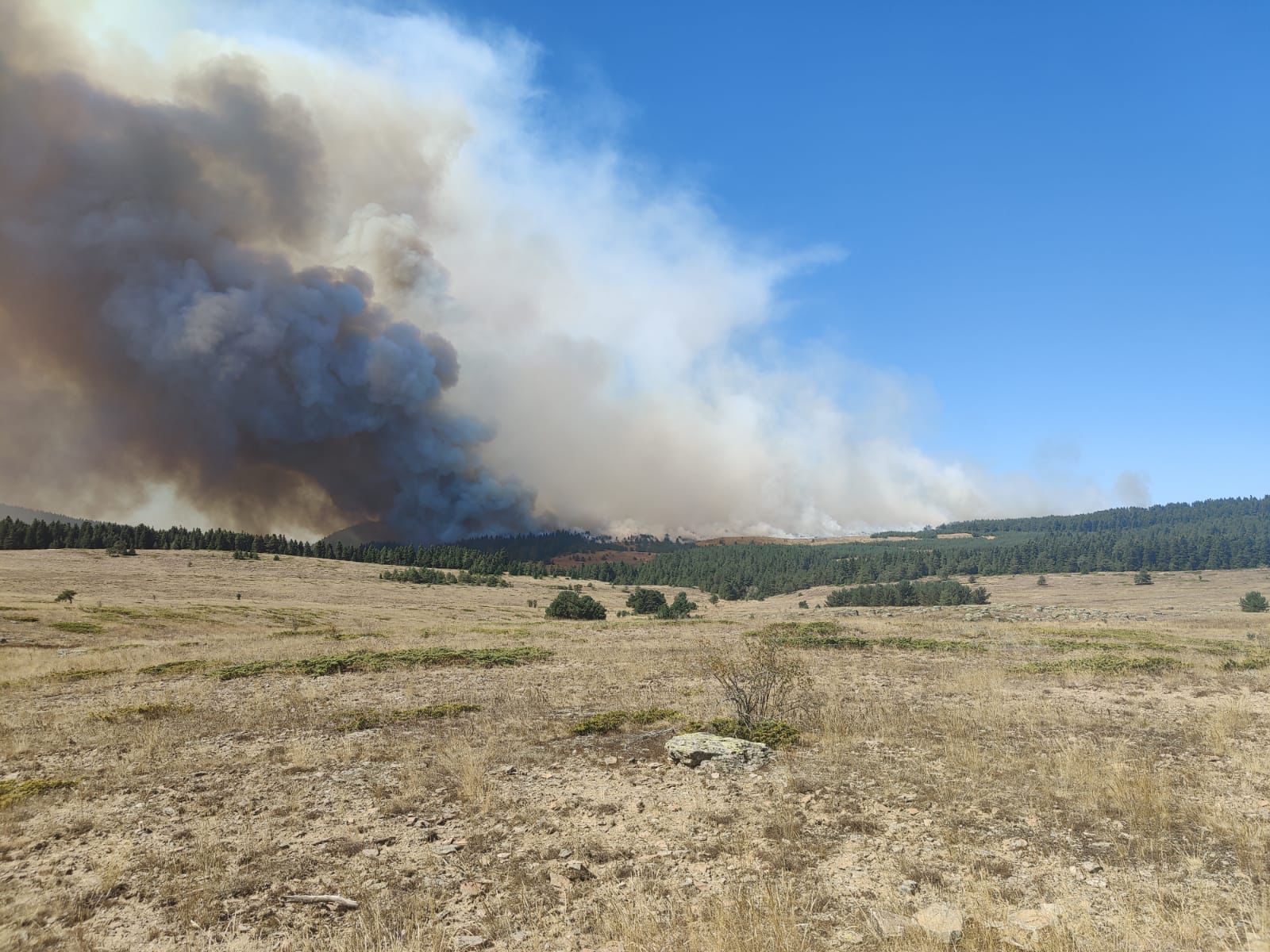 Bolu’da ormanlık alanda çıkan yangına müdahale ediliyor