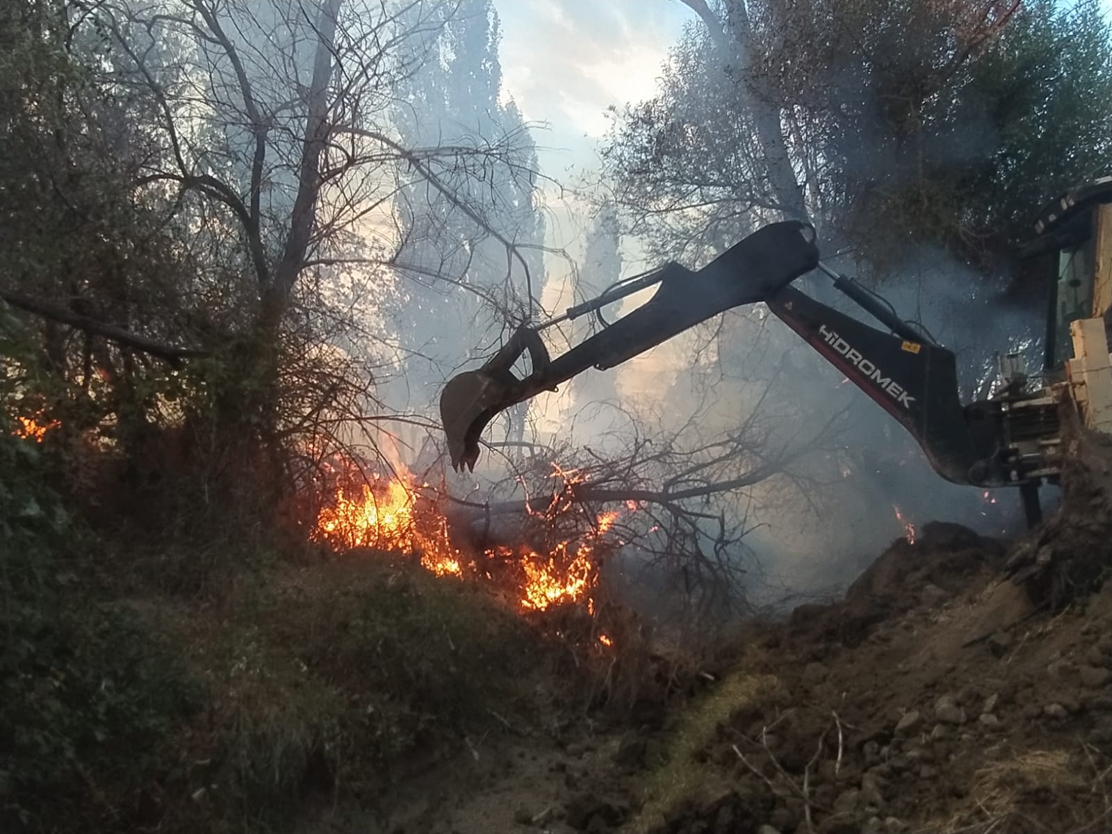 Çorum’da ağaçlık alana sıçrayan anız yangını 100 dönüm alana zarar verdi