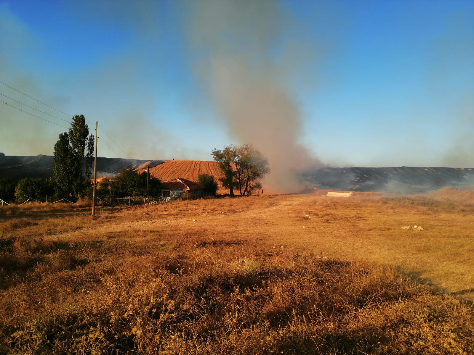 Çorum’da tarım arazisindeki anız yangınına müdahale ediliyor