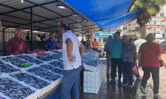 Zonguldak’ta deniz suyunun sıcaklığı balık miktar ve fiyatını olumsuz etkiliyor