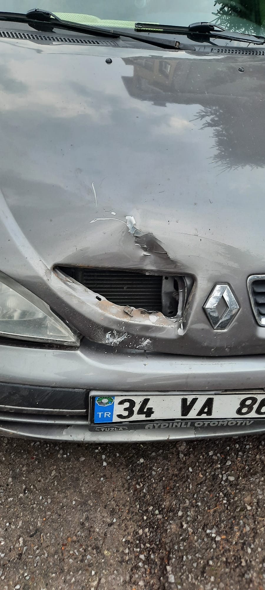 Trabzon’da ayı, seyir halindeki otomobile zarar verdi