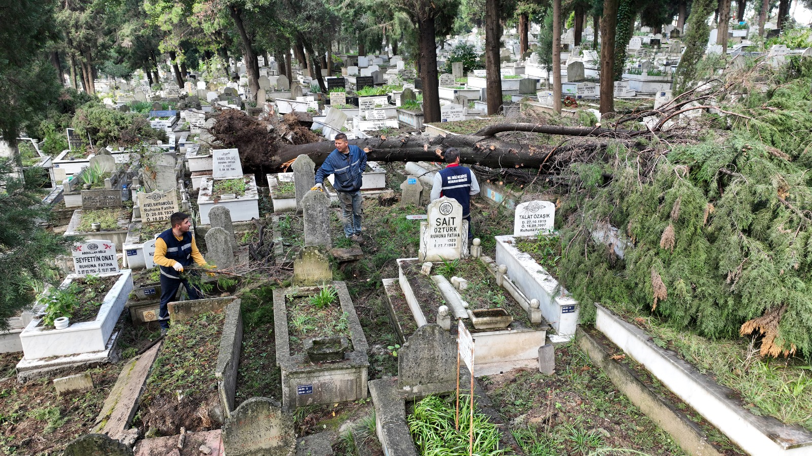 Zonguldak ve Düzce’de fırtınada devrilen ağaçlar mezarlara zarar verdi