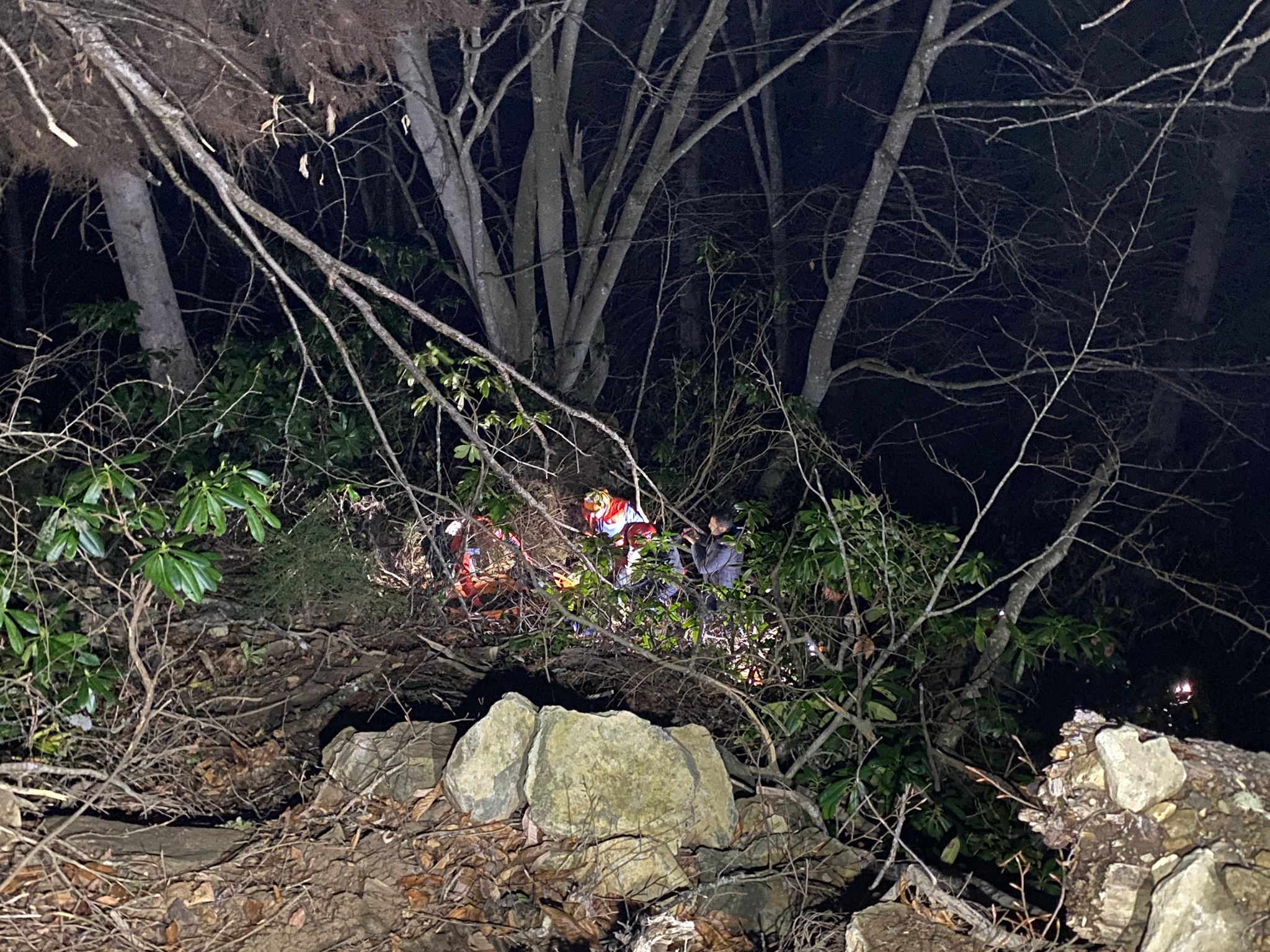 Artvin’de ormanda ağaç keserken uçurumdan düşen kişi öldü