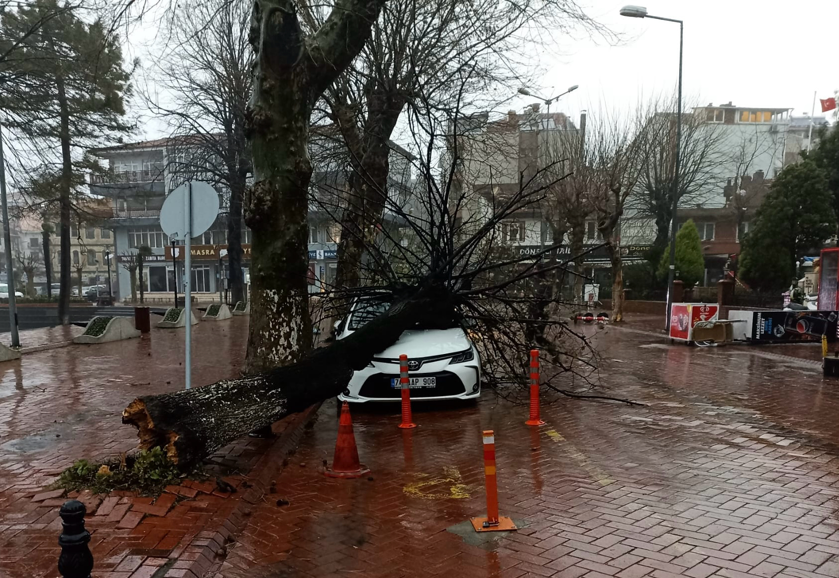 Bartın’da fırtına nedeniyle çatılar uçtu, otomobilin üzerine ağaç devrildi
