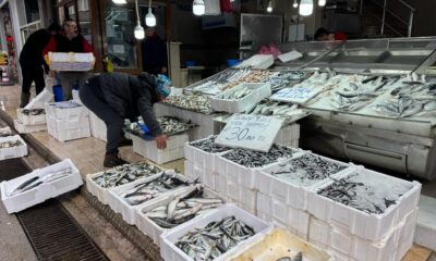 Karadeniz’de deniz suyu sıcaklığı düştü avcılık arttı