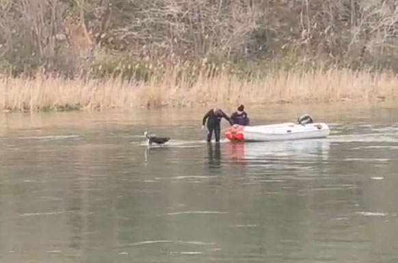 Samsun’da, Kızılırmak Nehri’nde mahsur kalan köpek kurtarıldı
