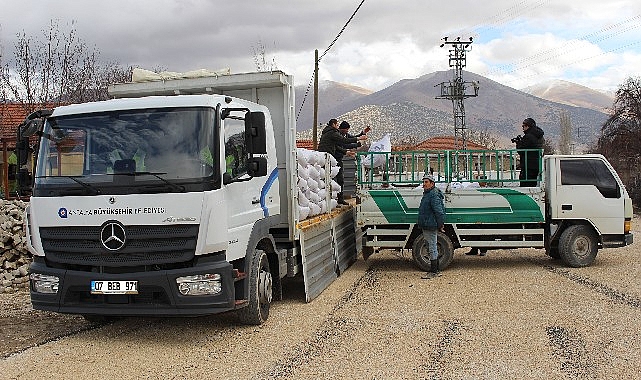 Antalya Büyükşehir Belediyesi’nin süt yemi desteği sürüyor