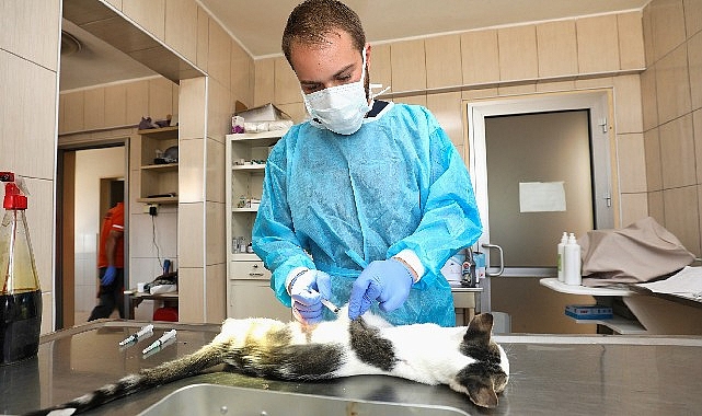 Gaziemir’de 27 bin 631 hayvana veteriner sağlık hizmeti