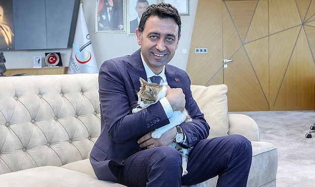 Bayraklı Belediye Başkanı İrfan Önal, yaralı kediye sahip çıktı ‘sahiplenme’ çağrısı yaptı