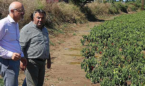 CHP'den Sel Mağduru Üreticiye Destek