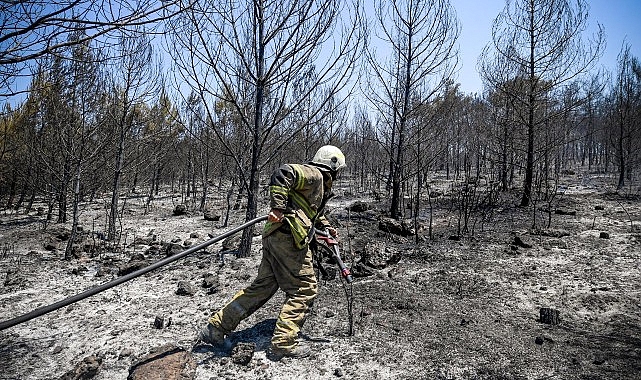 İzmir İtfaiyesi orman yangınlarına karşı 7 gün 24 saat nöbette