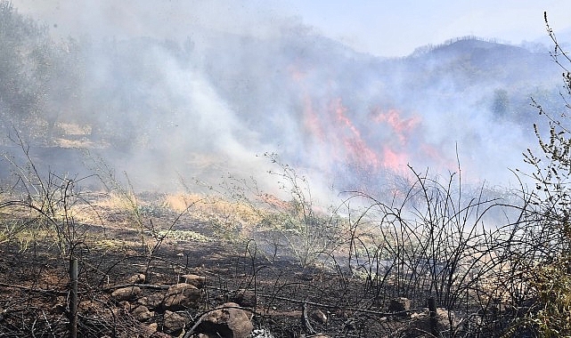 İzmir Yamanlar Dağı’nda çıkan yangınla mücadele sürüyor