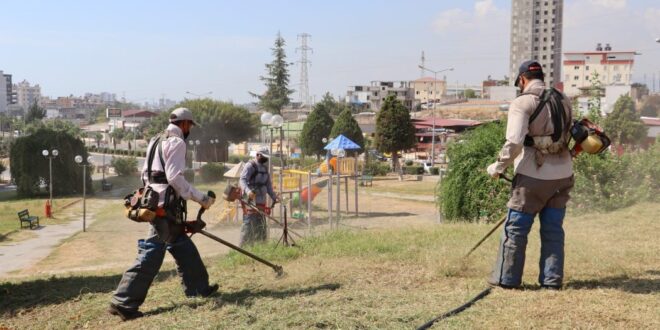 Toroslar’ın park ve yeşil alanlarında sonbahar hazırlığı