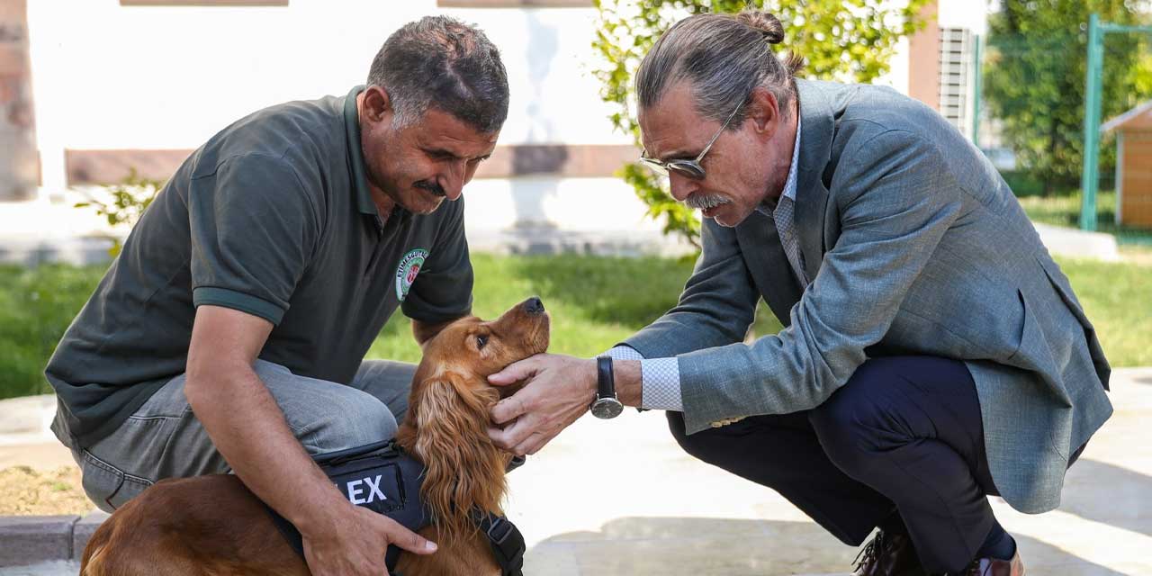 Etimesgut’ta 5 sokak köpeği daha belediyede işe başladı: Erdal Beşikçioğlu duyurdu