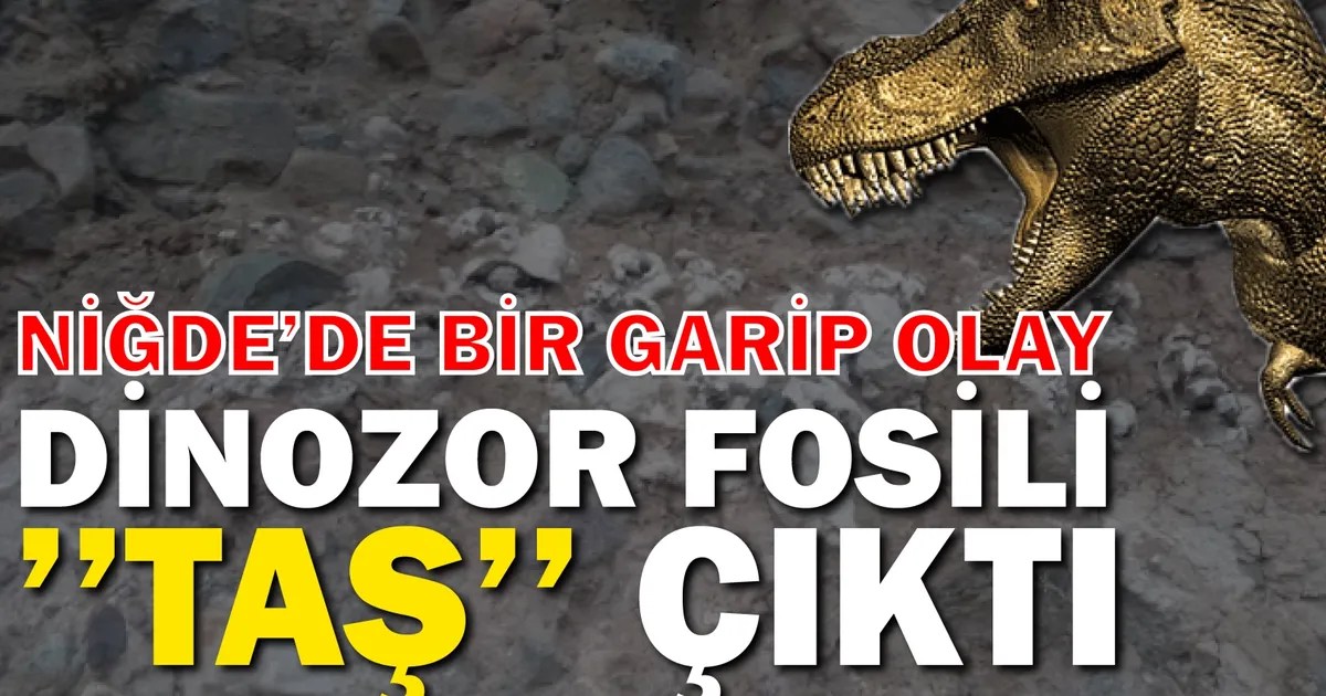 Dinozor fosili dedikleri nesne, taş çıktı!