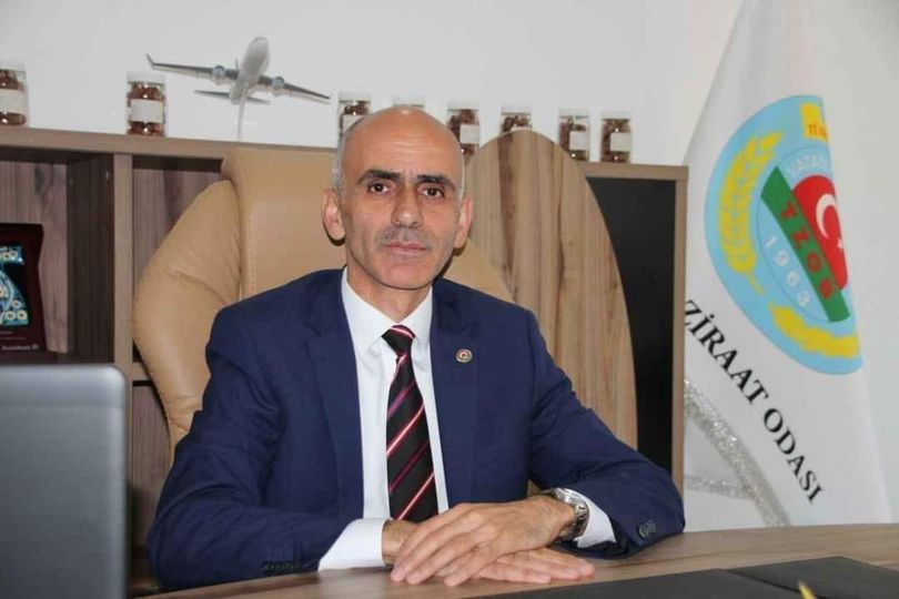 Giresun Ziraat Odası Başkanı Karan: “Fındık kahverengi kokarca istilasıyla karşı karşıya”