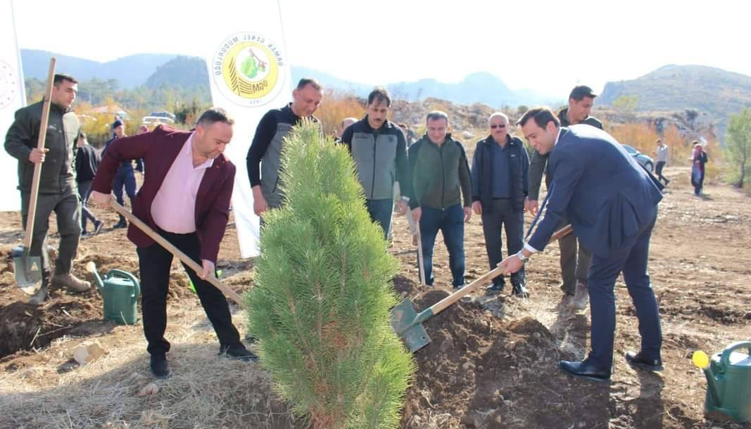 Yeşil Sütçüler ilçesine binlerce fidan daha dikildi