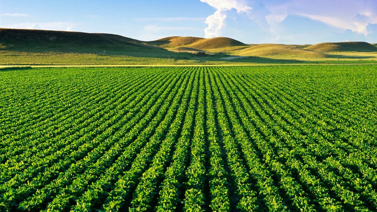 TÜİK: Tarım Girdi Maliyetleri Şubatta %28 Yükseldi