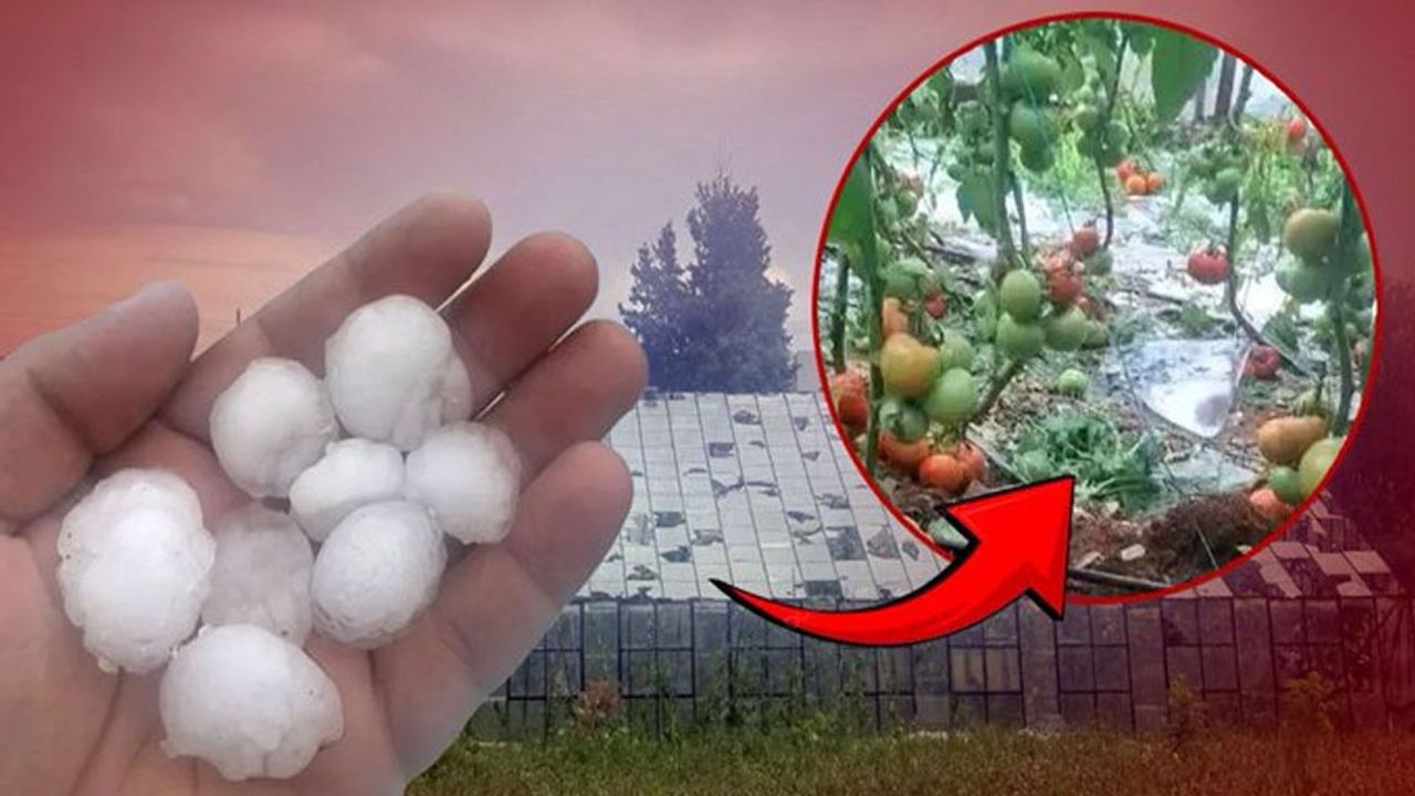 Serik’te Ceviz Büyüklüğündeki Dolu Tarımı Vurdu