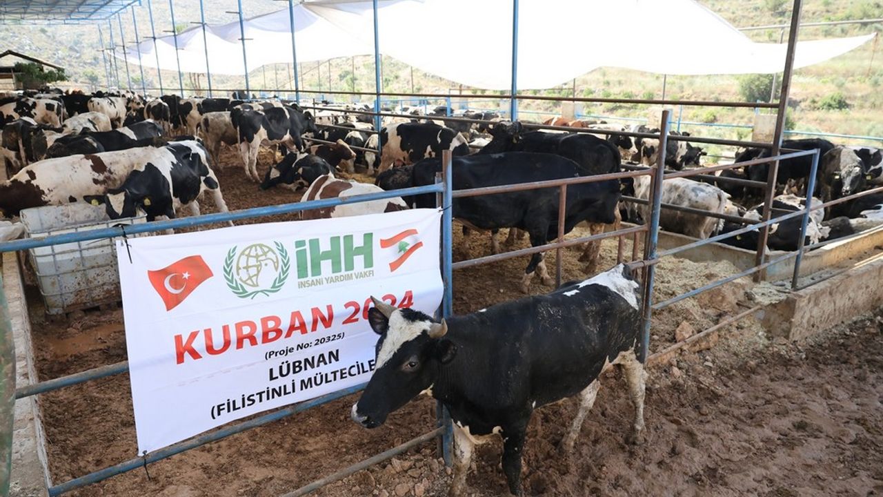 İHH 2025 Kurban Yardımı: 60 Ülke, 3.5 Milyon Kişi, 8500 TL