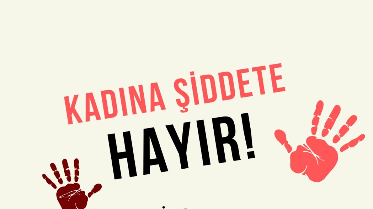 TBMM Kadına Şiddet Raporu Tamamlandı: 113 Öneri