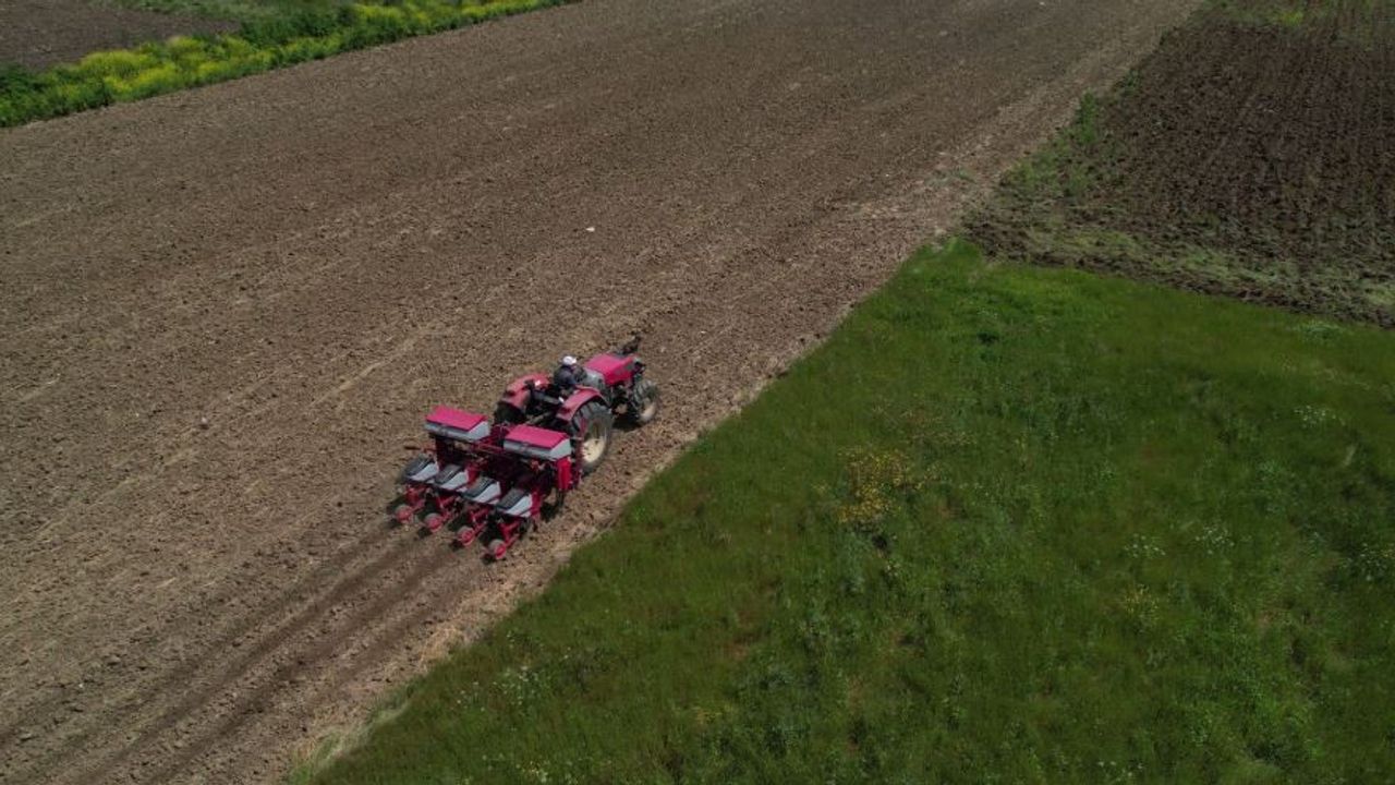 Kocaeli Çiftçisi Yem Bitkisi Desteğiyle Ekime Başladı