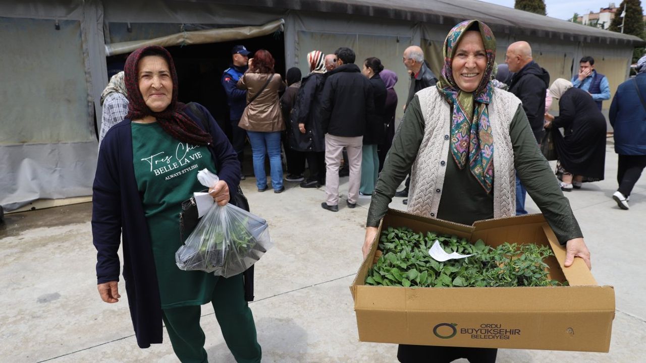 Ordu Büyükşehir’den Üreticiye 380 Bin Fide Desteği