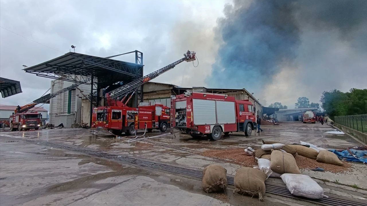 Sakarya Karasu Fındık Fabrikasında Büyük Yangın