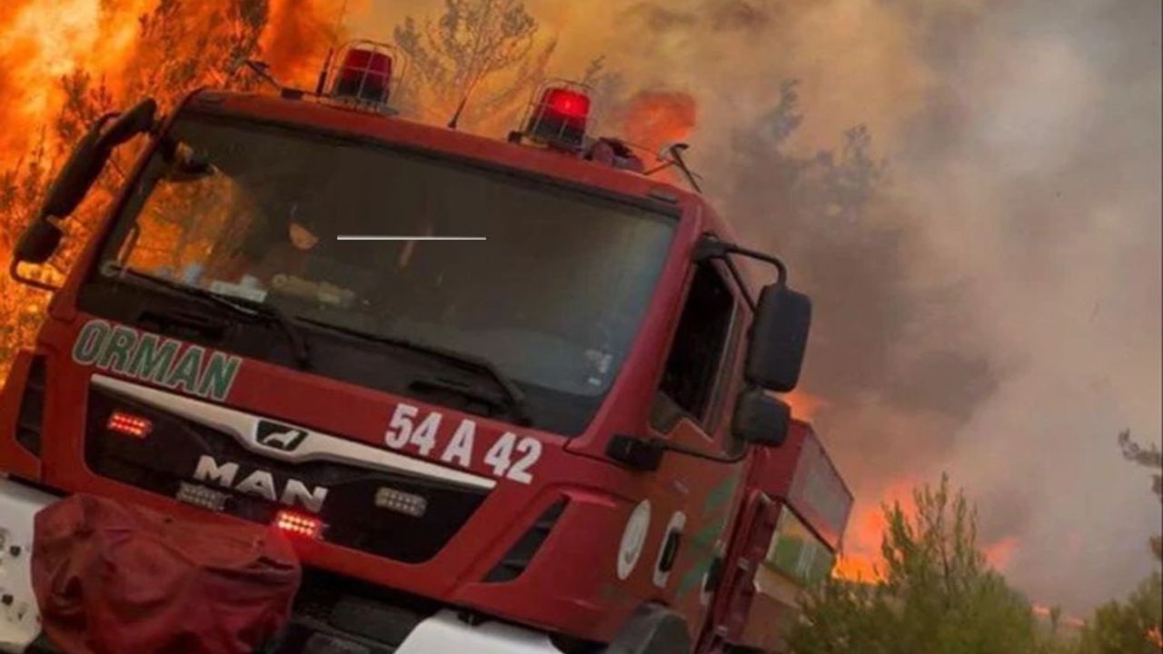 Orman Yangını Ekiplerine Yol Verin: Zaman Hayat Kurtarır