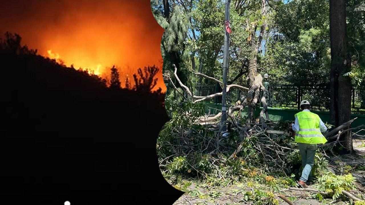 İzmir’de Şiddetli Rüzgar Çok Sayıda Yangına Yol Açtı