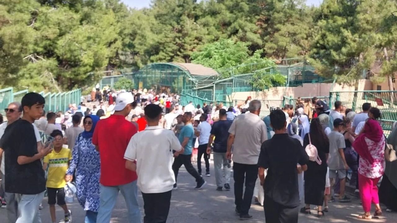 Gaziantep’te 12 Kaçan Kurbanlık Yakalandı, Müzeler 25 Bin Ziyaretçi Çekti