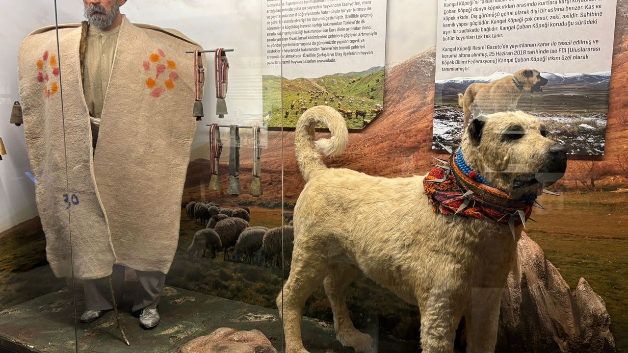 Sivas’ta Tarihi Valilik Binası Şehir Müzesi Oldu