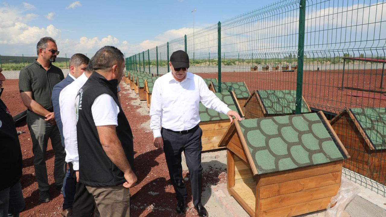 Kars’ta Sokak Hayvanları İçin Modern Yaşam Alanı Açılıyor