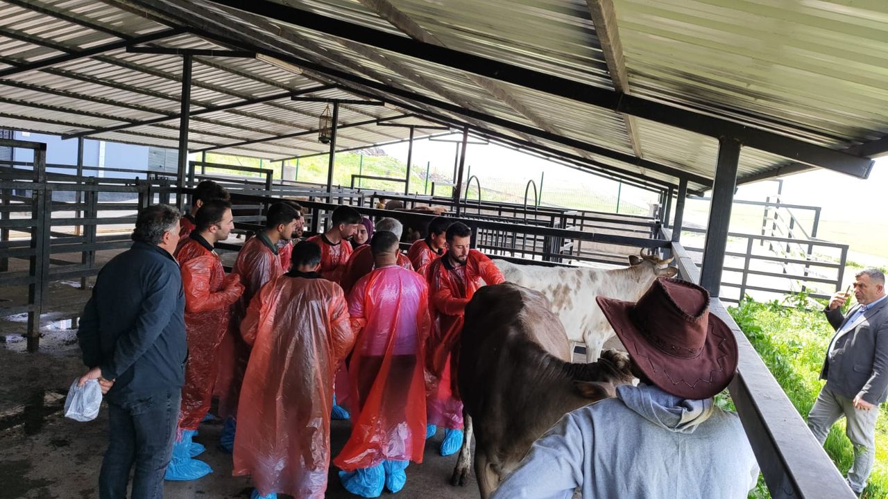 Kars’ta Veteriner Hekimlere İnek Üreme ve Ultrasonografi Eğitimi Verildi