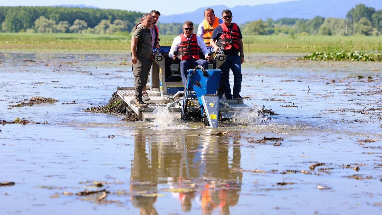 Efteni Gölü’nde Temizlik Çalışmaları Amfibik Makineyle Başladı