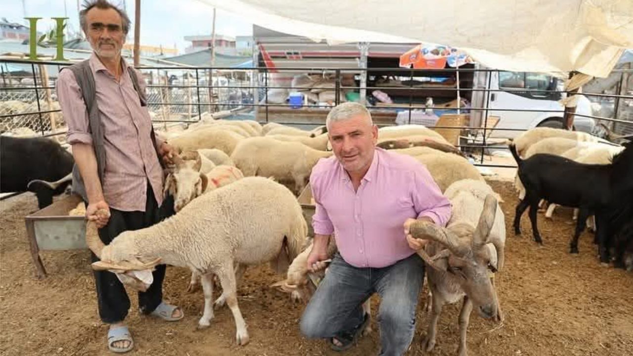 Adana’da Dört Boynuzlu Koçlar Kurban Pazarında İlgi Odağı Oldu